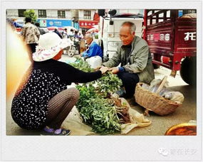 炮里古庙会社火秧歌报 一场视听盛宴与乡愁记忆的深情回响