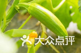 喜源灶具日用杂品超市 美食与日用品的奇妙交汇，探索周边好滋味